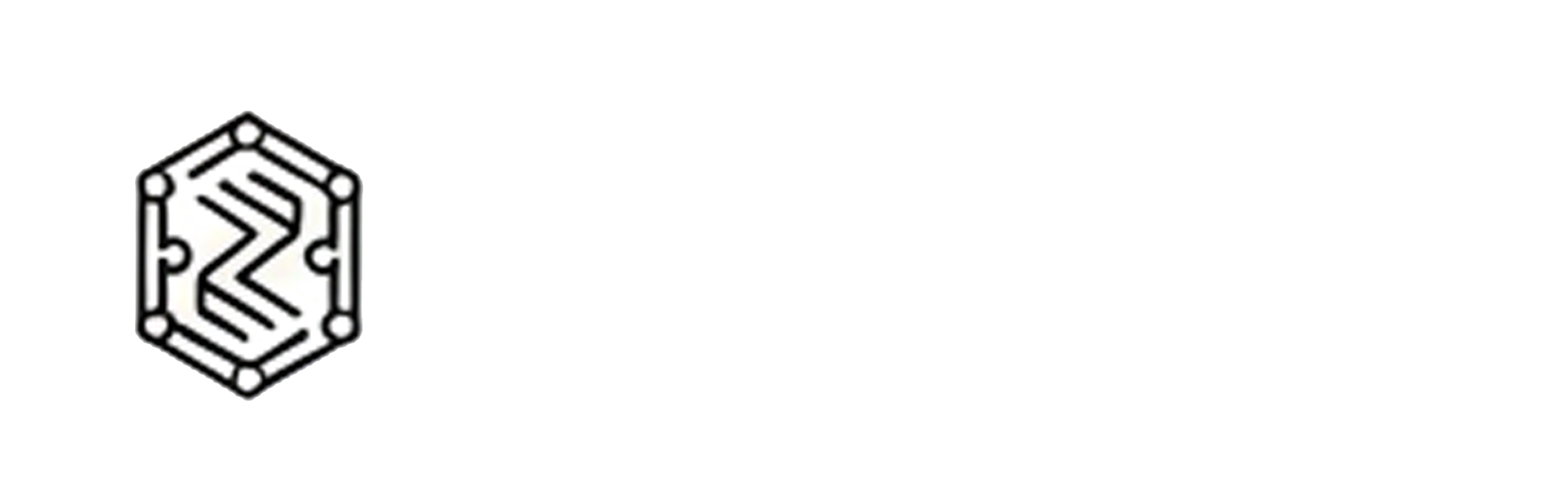 Logo Zyntra